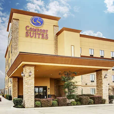 Comfort Suites Buda - Austin South-3