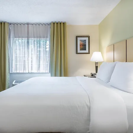Candlewood Suites Lake Mary By Ihg-3