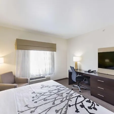 Sleep Inn & Suites Midland West-2