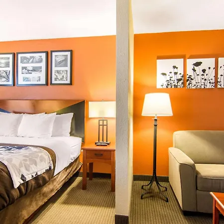 Sleep Inn & Suites Athens South-2
