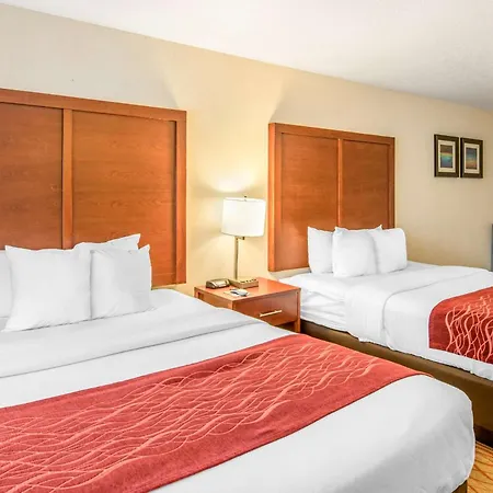 Comfort Inn Mount Shasta Area-2