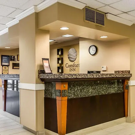 Comfort Inn Pentagon City-3