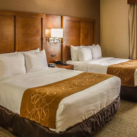 Quality Suites Nyc Gateway-2