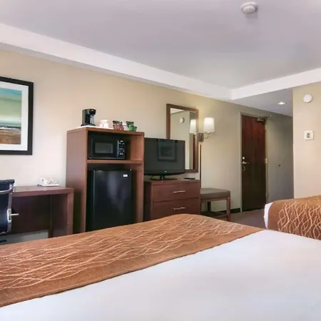 Comfort Inn Silicon Valley East-3