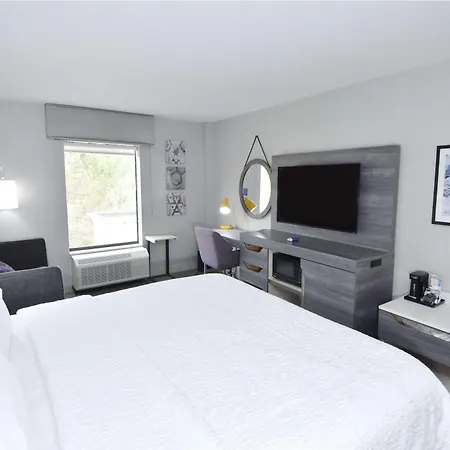 Hampton Inn Auburn-3