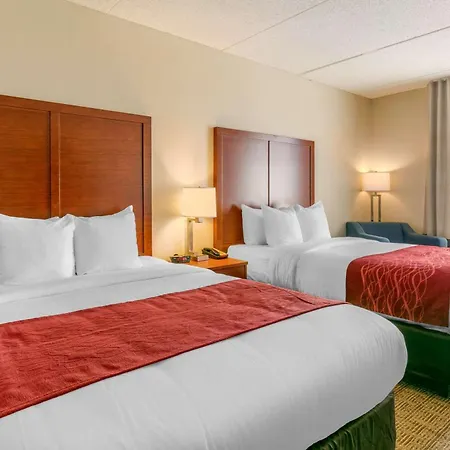 Comfort Inn & Suites Nashville Franklin Cool Springs-3