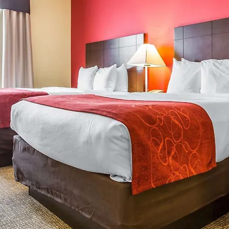 Comfort Suites Rock Hill Manchester Meadows Area-3
