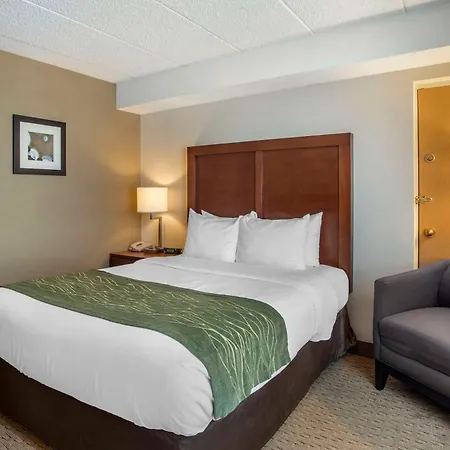 Comfort Inn Shady Grove - Gaithersburg - Rockville-2