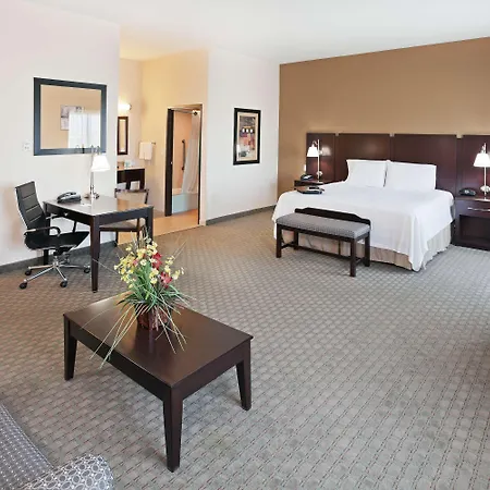 Hampton Inn & Suites Dumas-2