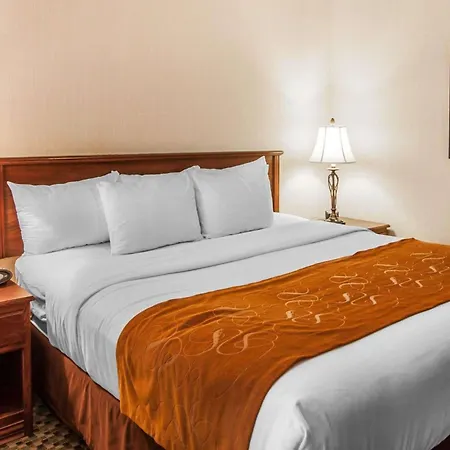 Comfort Suites Corvallis-2