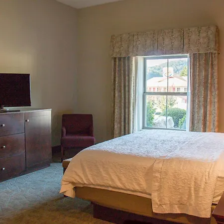 Hampton Inn Murphy-3