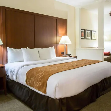 Comfort Suites Cumming-Atlanta Near Northside Hospital Forsyth-2