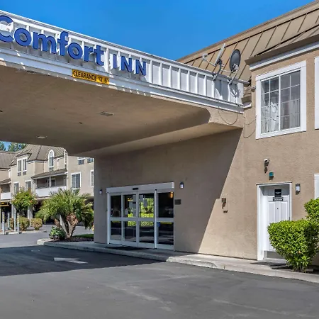 Comfort Inn Redwood City-3