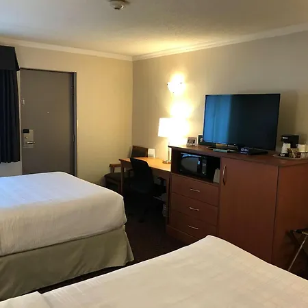 Best Western Thunder Bay Crossroads-2