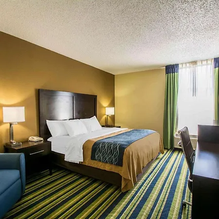 Comfort Inn & Suites Lantana - West Palm Beach South-2