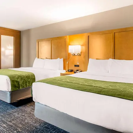 Comfort Suites North Charleston - Ashley Phosphate-3