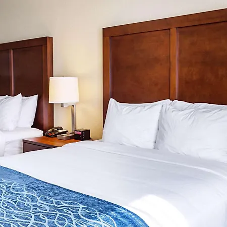 Comfort Inn & Suites Niagara Falls Blvd Usa-2