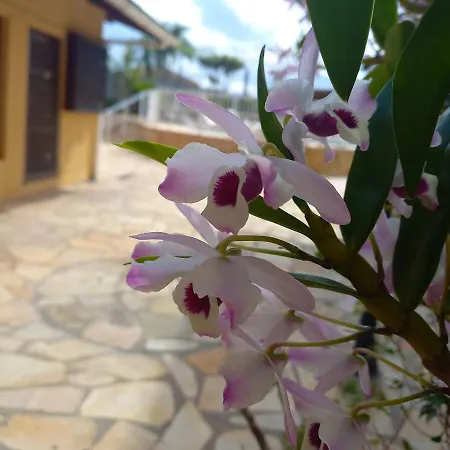 Hotel Sol A Sol-2
