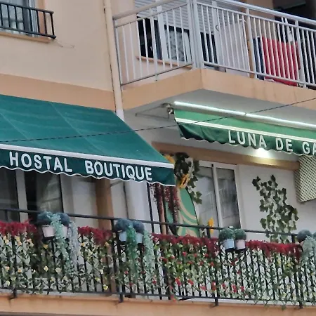 Hostal Boutique Luna de Gavín-2