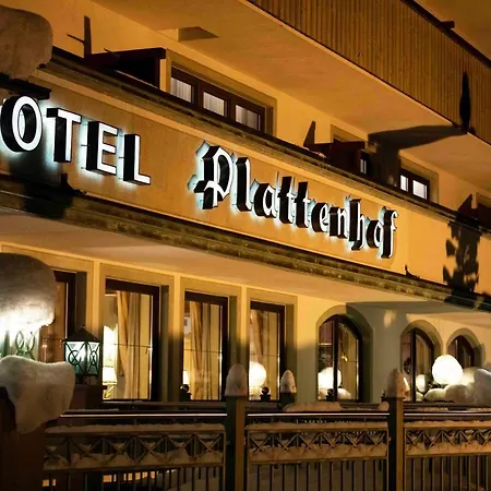 Hotel Plattenhof-2