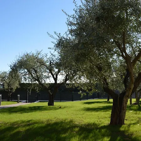 B&B Fior di Magnolia-2