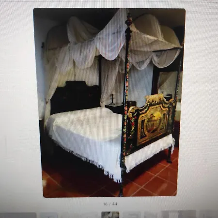Suitesmagistral Bed And Breakfast-2