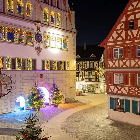 Hotel Restaurant Grüner Baum und Altes Tor-3