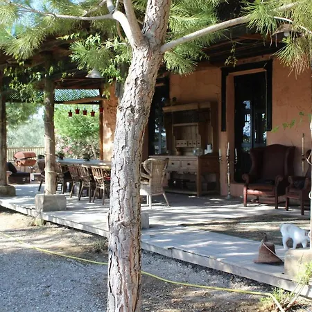 Beautiful Accommodation At The Heart Of Andalusia-2