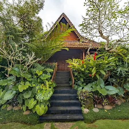 Ubud Valley Boutique Resort-3