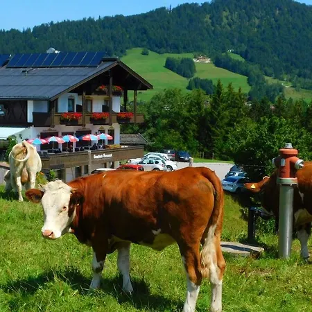 Hotel-Gasthof-Sonneck-3