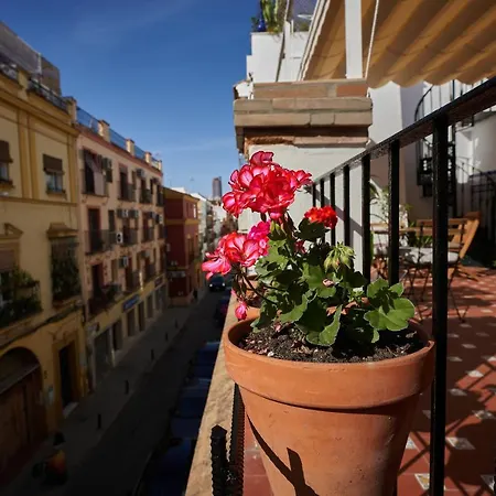 Casa Pureza-3
