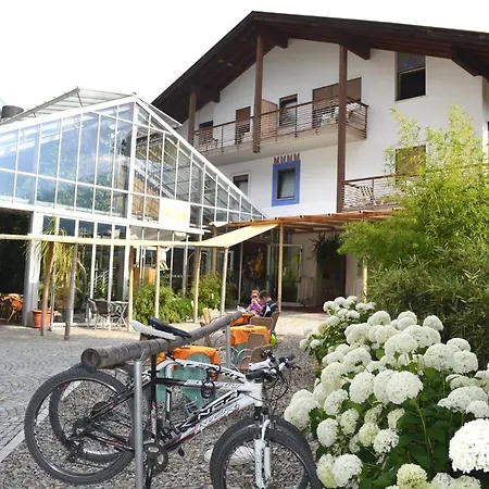 Hotel Bamboo-3
