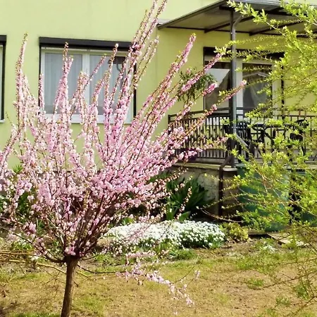 Pension Haus Germania-3