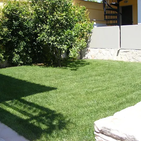 B&B Freezone-2