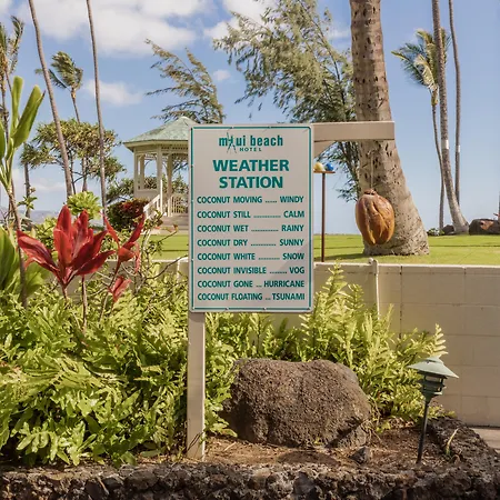 Maui Beach Hotel-2