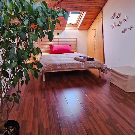 Comfortable Room 4 Minutes Walk To Basel Shared Apartment-2