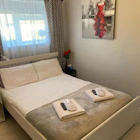 Comfortable Rooms In The House-3