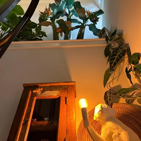 Monkey Tree Stay-3