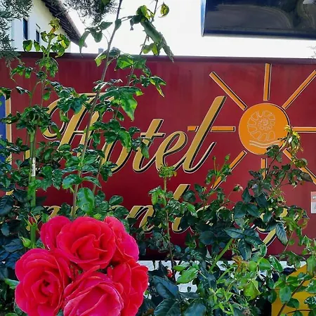 Hotel Gasthof Sonnenhang-2