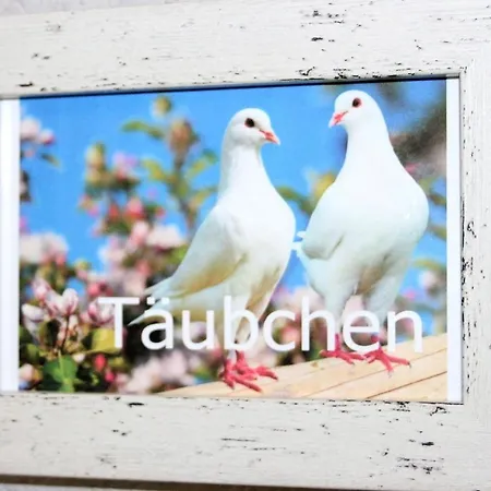 Haus Vogelhochzeit Taeubchen-3