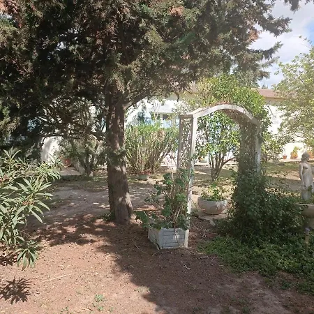mas des pins-3