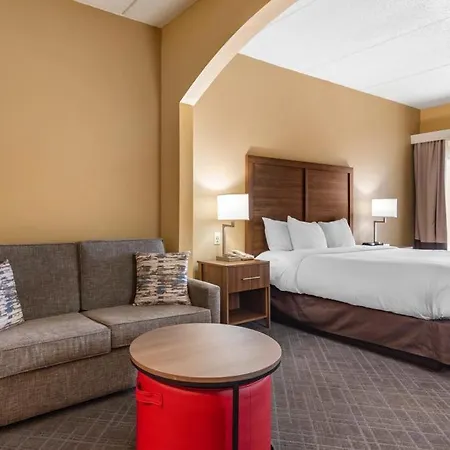 Comfort Inn & Suites At Stone Mountain-3