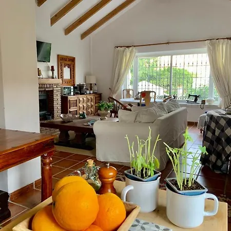 At Home In Malaga Stay - Solo Travellers-3