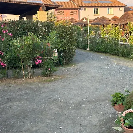 Fattoria Palazzeta-3