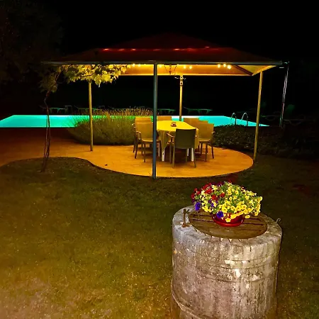 Pansion Margerita-2