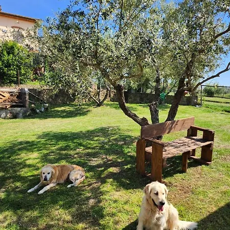 Podere Il Polveroso-2
