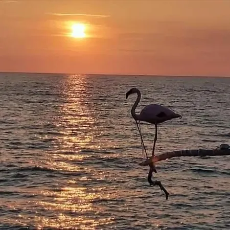Affreschi sul mare-3
