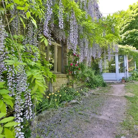 Le Manoir des Sens - Forêt de Bergheim-2