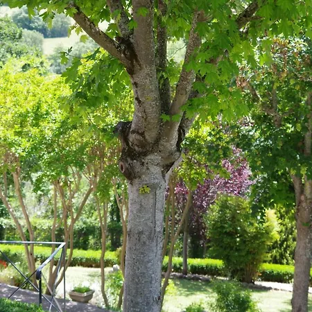 Les Chambres d Hôtes de Valensole au pays des lavandes et proche des Gorges du Verdon-3