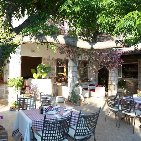 Hotel Villa Barbat-2